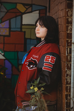 L (21 of 235)