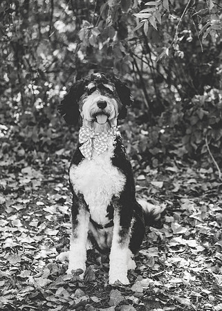 K (62 of 94)