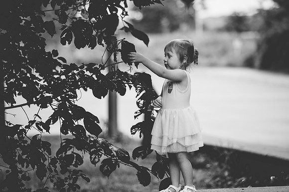 T (98 of 114)