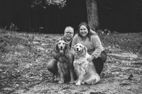 L (10 of 40)