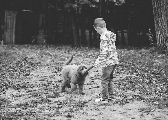 M (34 of 102)