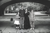 C (10 of 254)