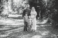 B (2 of 262)