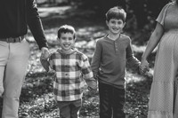 B (14 of 262)