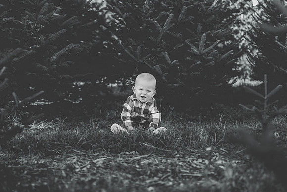 Q (194 of 242)