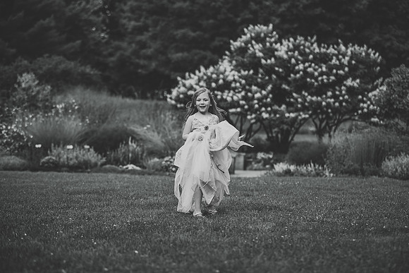 T (256 of 282)