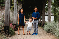 H (15 of 173)
