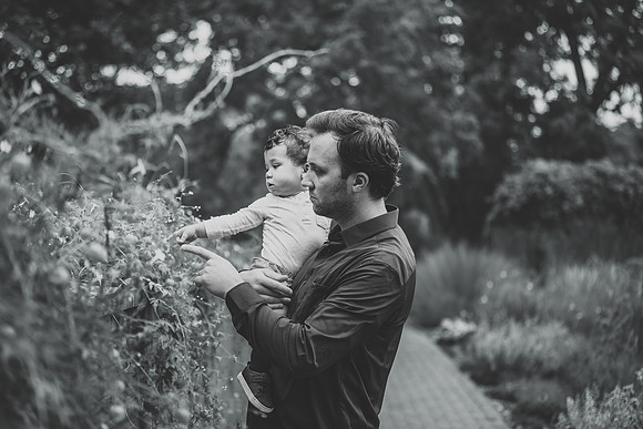 H (198 of 29)