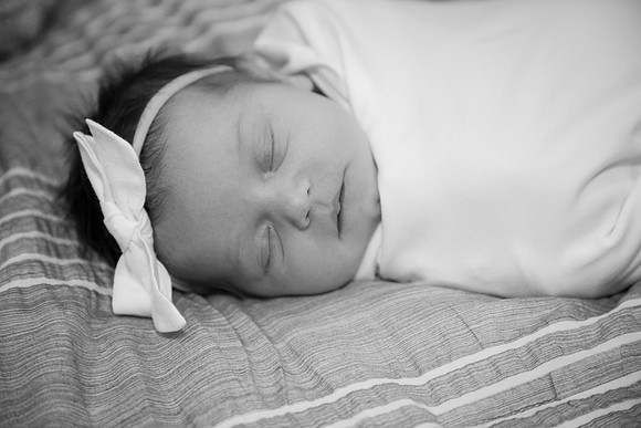 Amelia (26 of 266)