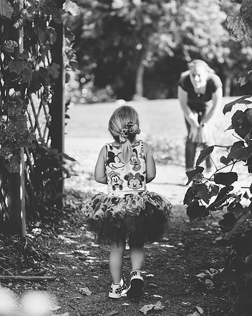 C (186 of 228)