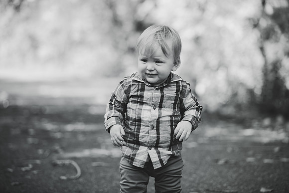 T (12 of 132)