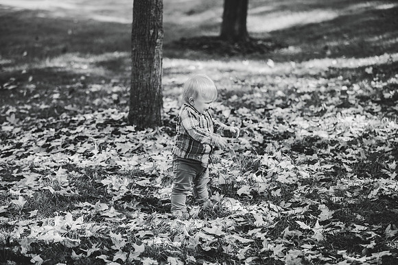 T (116 of 132)