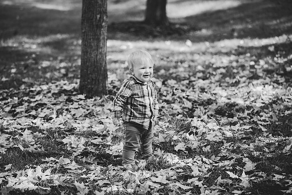 T (118 of 132)