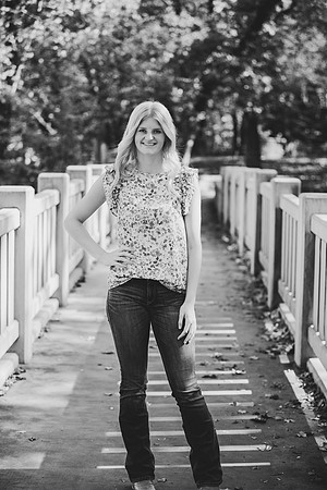 L (84 of 256)