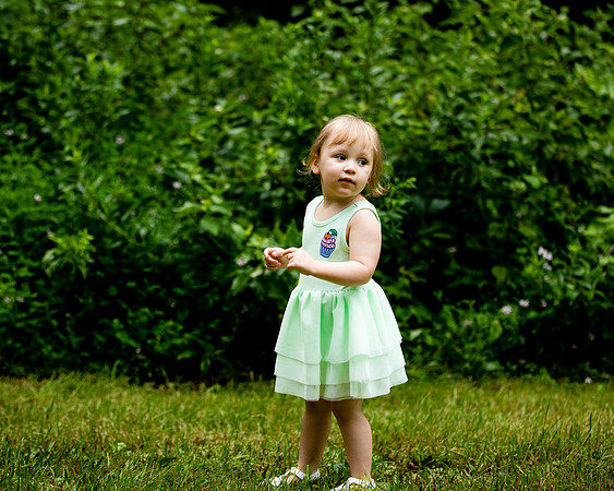 T (55 of 114)