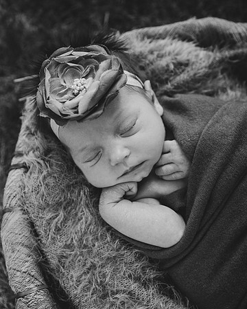 Amelia (222 of 266)