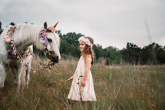 Unicorn-13