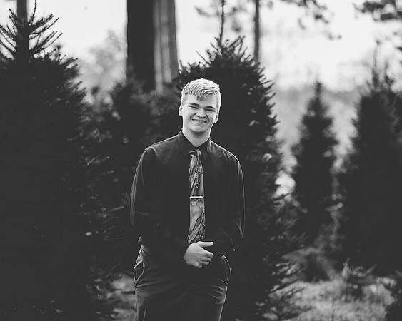 L (30 of 138)