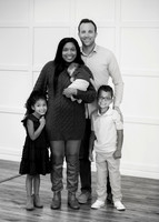 H (2 of 232)