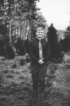 L (38 of 138)